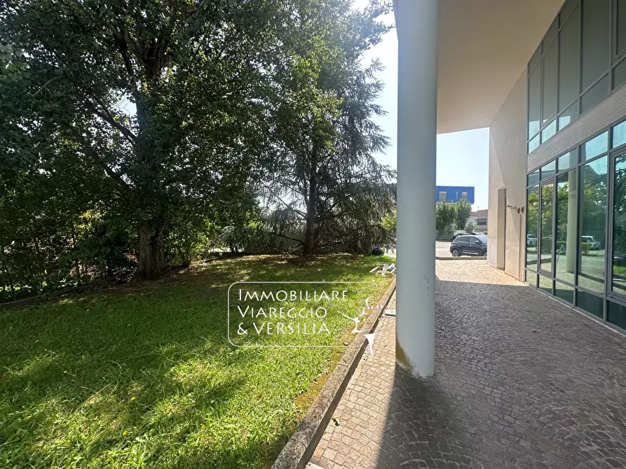 Immagine 22 di Capannone industriale in vendita  in via dei Carpentieri a Camaiore