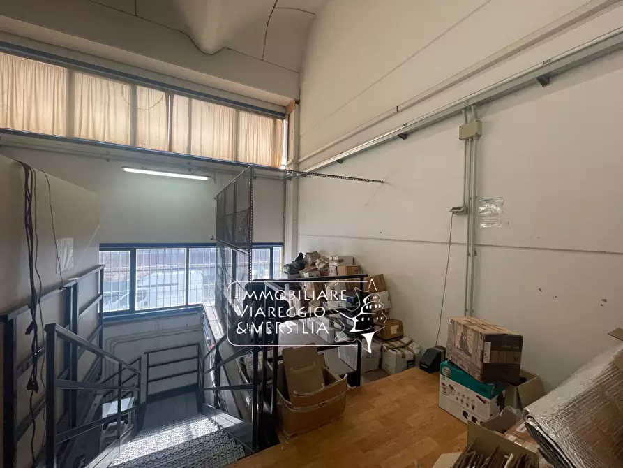 Immagine 7 di Magazzino in vendita  in via Libeccio 47 a Viareggio