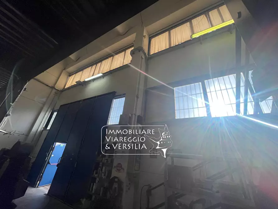 Immagine 14 di Magazzino in vendita  in via Libeccio 47 a Viareggio