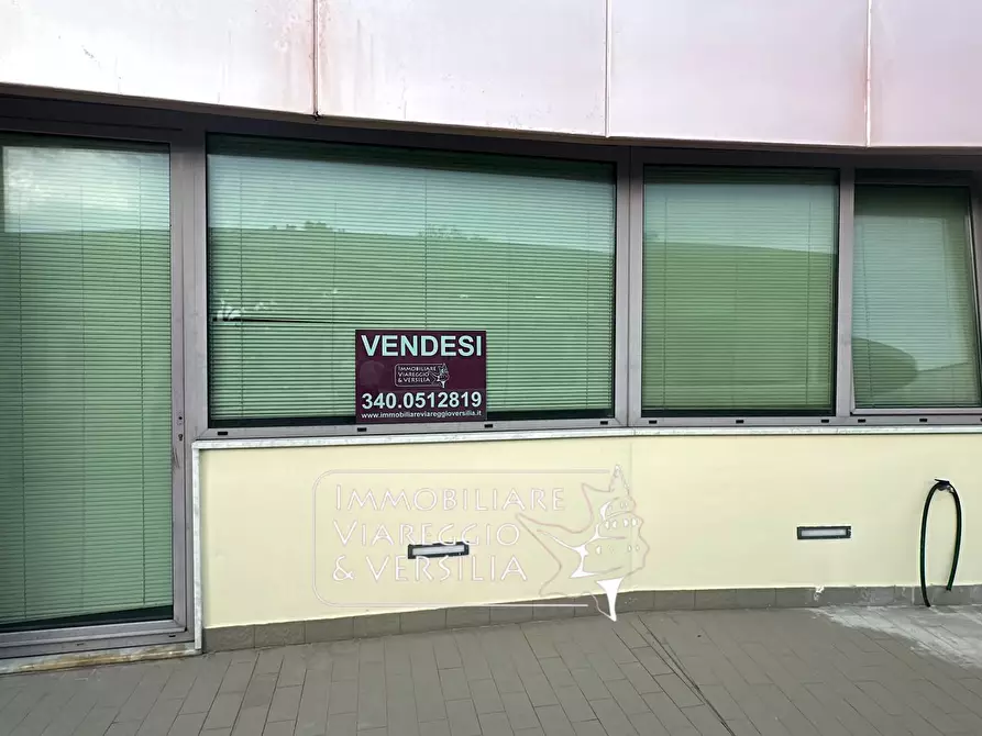 Immagine 1 di Capannone industriale in vendita  in via Fratelli Rosselli 5 a Camaiore