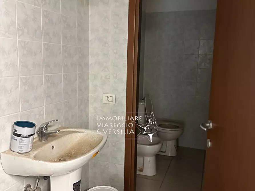 Immagine 13 di Magazzino in vendita  in vi delle Bocchette a Camaiore