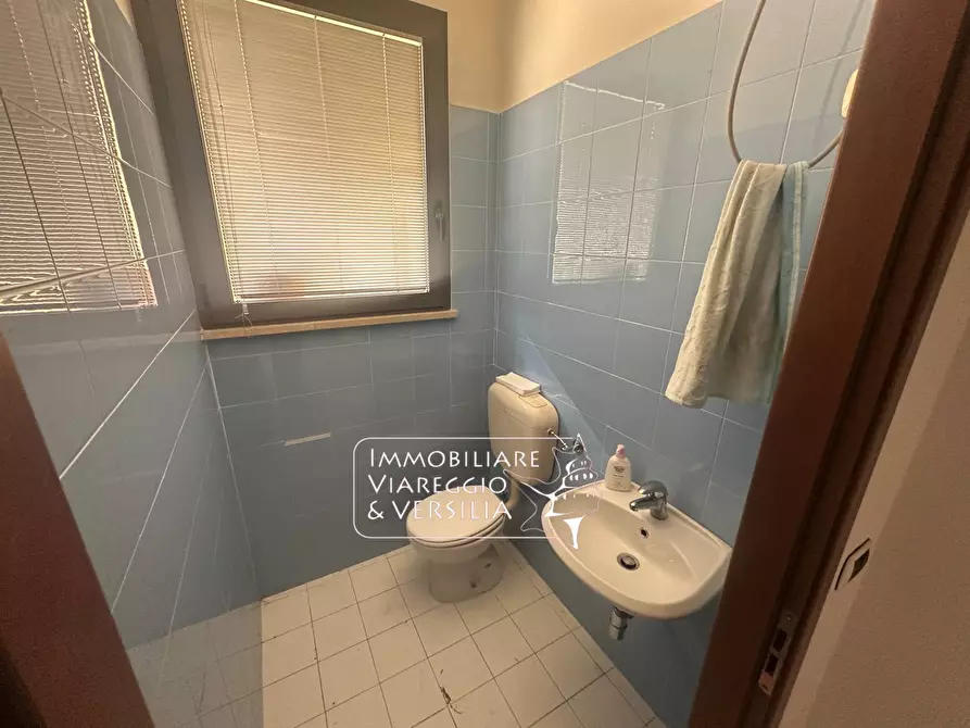 Immagine 6 di Magazzino in vendita  in via Mincio a Camaiore