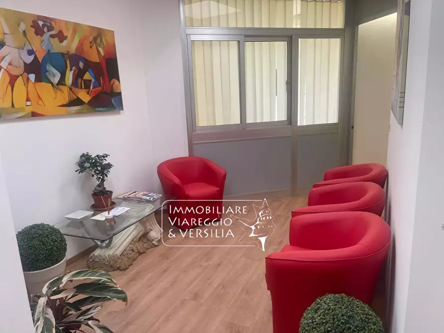 Immagine 1 di Capannone industriale in affitto  in via dei Lecci a Viareggio