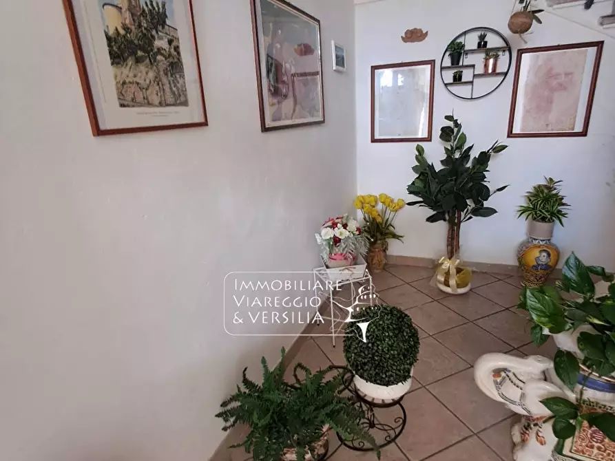 Immagine 24 di Appartamento in vendita  in via del Castello 37 a Viareggio
