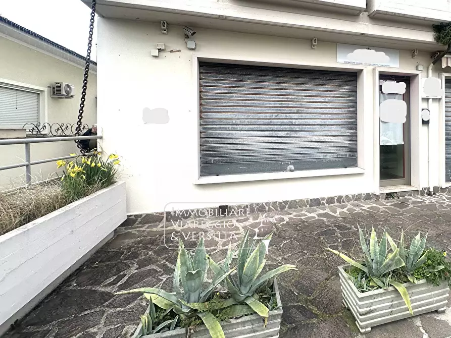 Immagine 6 di Appartamento in vendita  in via dei Lecci 79 a Viareggio