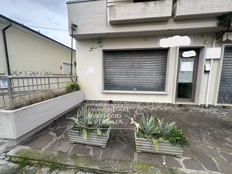 Immagine 1 di Appartamento in vendita  in via dei Lecci 79 a Viareggio