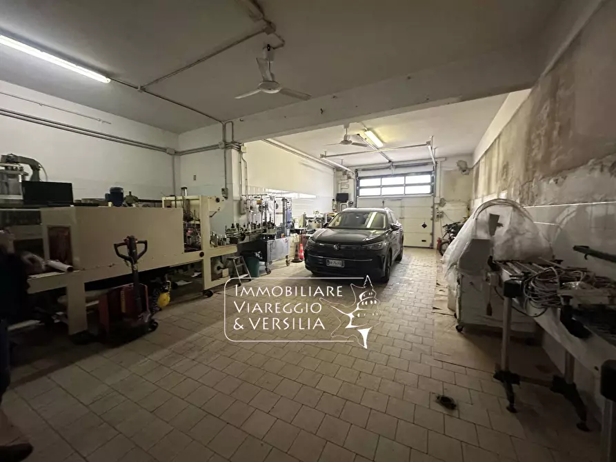 Immagine 2 di Magazzino in affitto  in via Puccini 280 a Viareggio