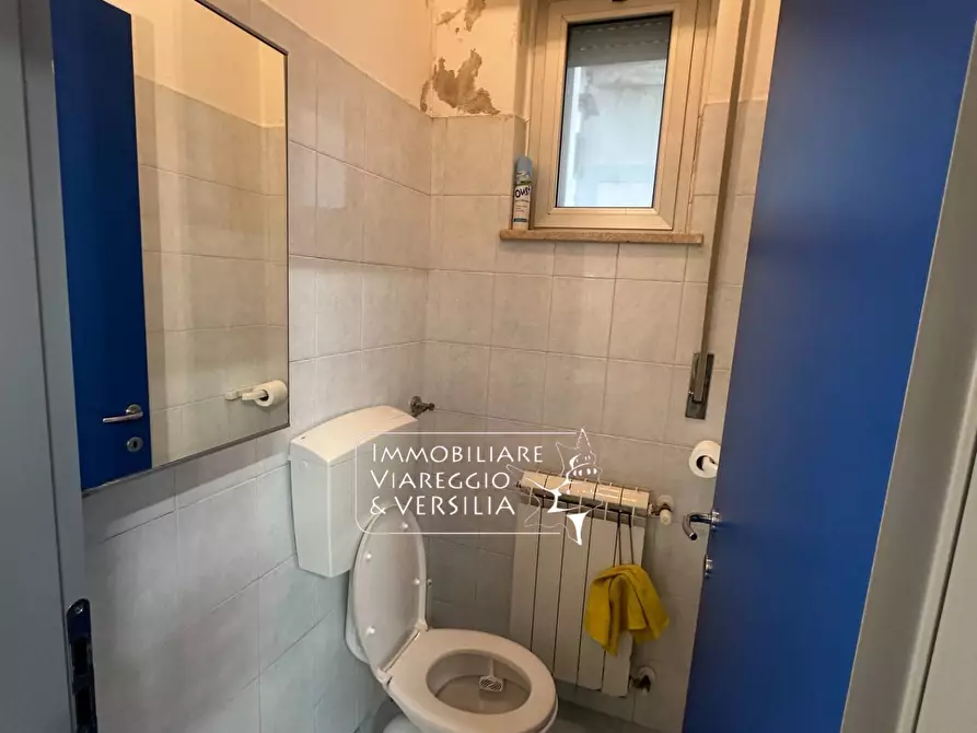 Immagine 14 di Magazzino in vendita  in via Virgilio 100 a Viareggio