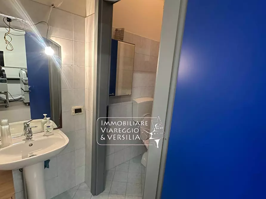 Immagine 15 di Magazzino in vendita  in via Virgilio 100 a Viareggio