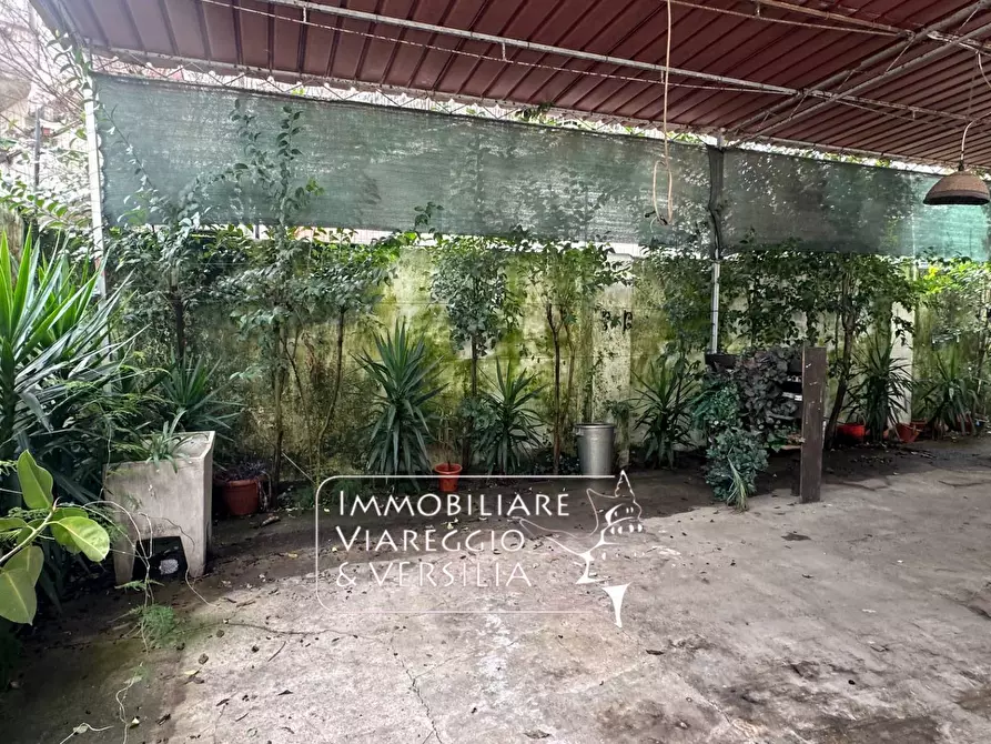 Immagine 11 di Negozio in affitto  a Viareggio