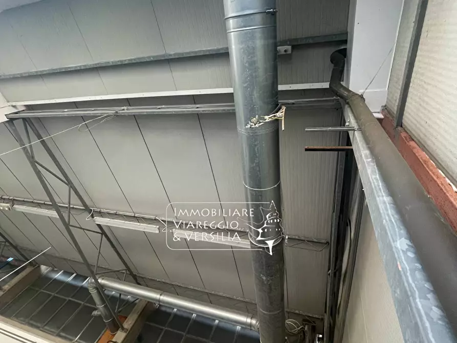 Immagine 19 di Magazzino in vendita  a Camaiore