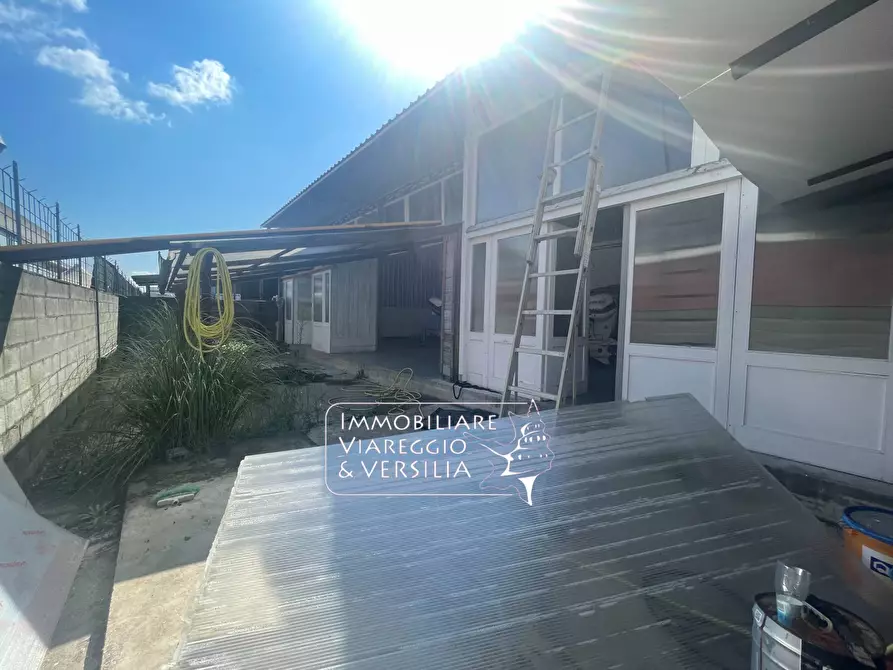 Immagine 5 di Magazzino in vendita  a Camaiore