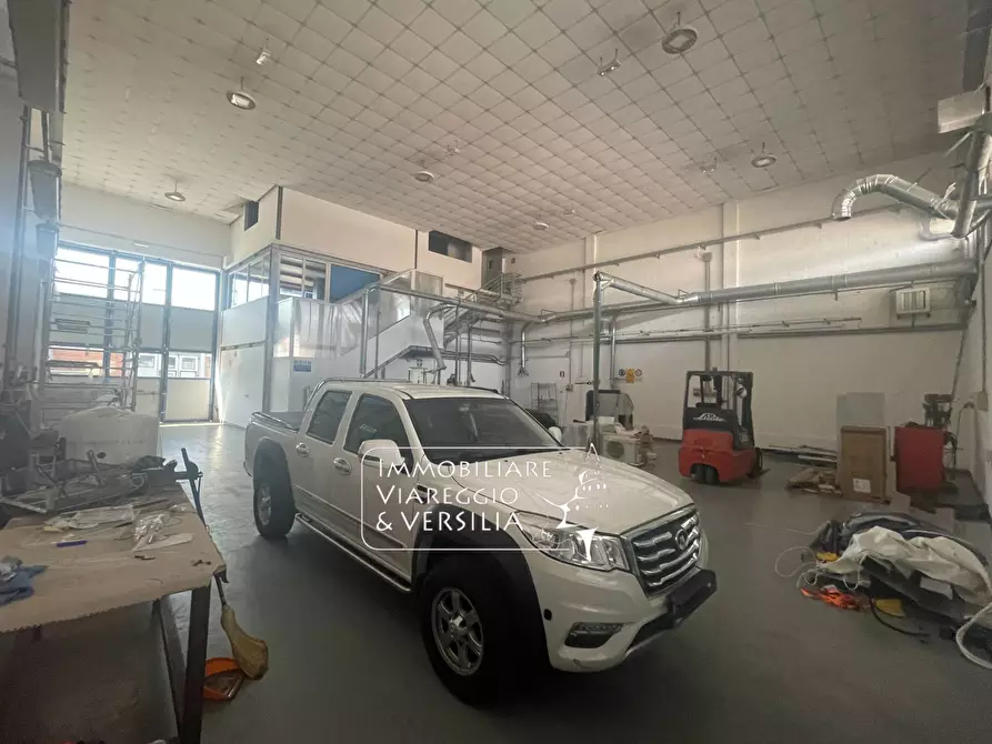 Immagine 9 di Magazzino in vendita  a Camaiore
