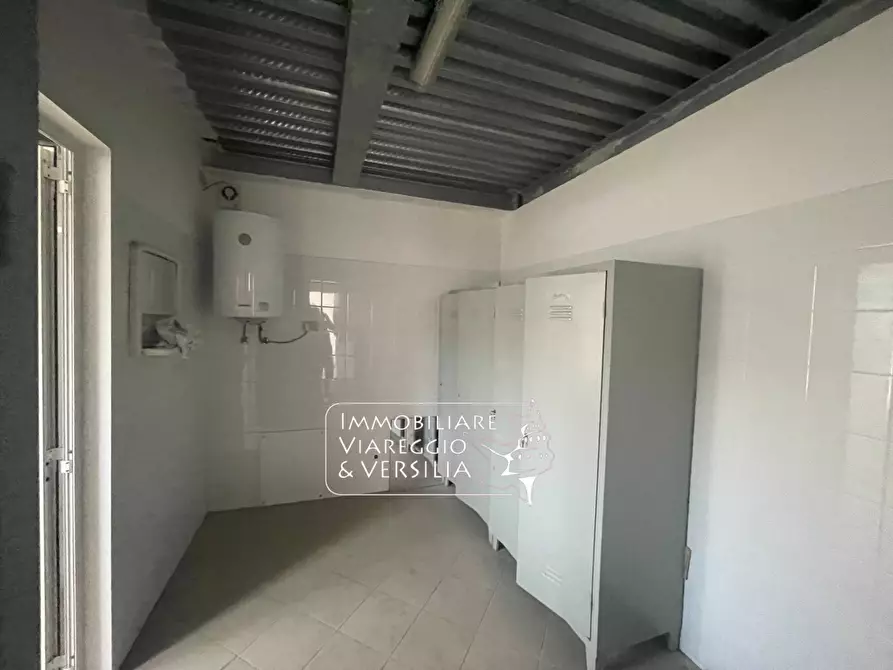 Immagine 17 di Magazzino in vendita  a Camaiore
