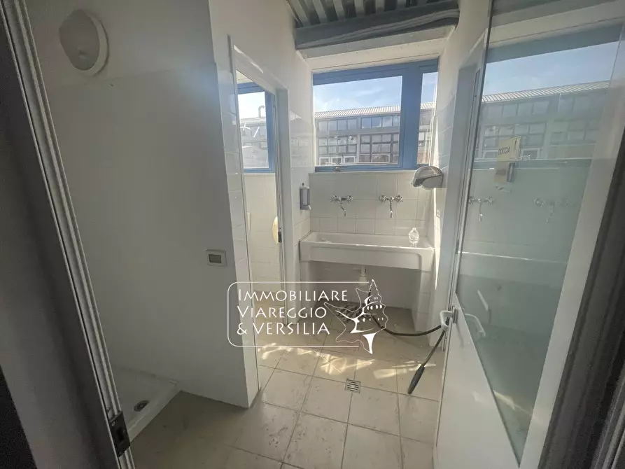 Immagine 18 di Magazzino in vendita  a Camaiore