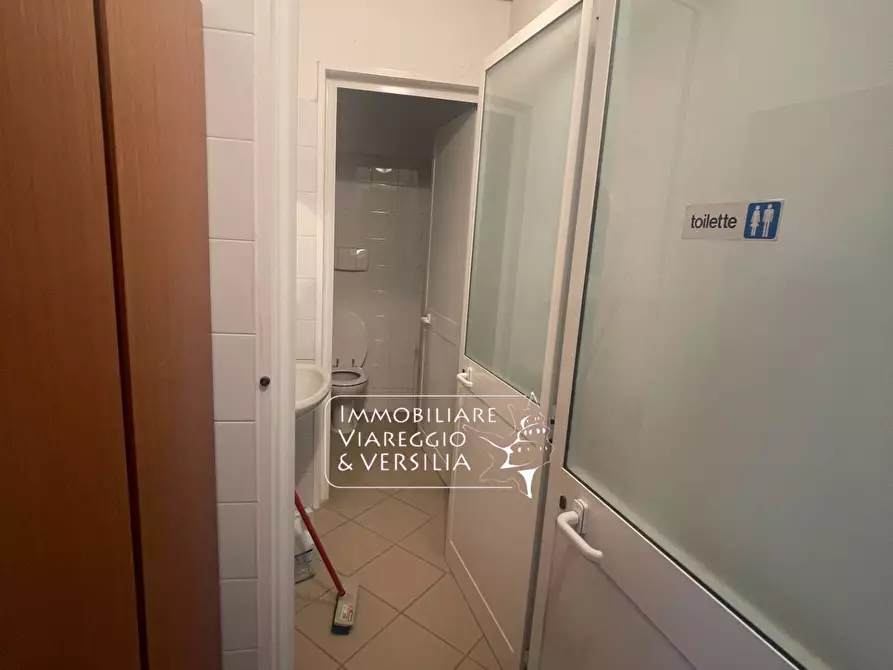 Immagine 23 di Magazzino in vendita  a Camaiore