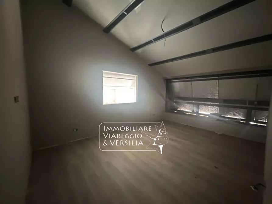 Immagine 25 di Magazzino in vendita  a Camaiore