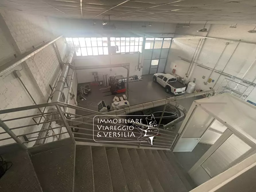 Immagine 1 di Magazzino in vendita  a Camaiore