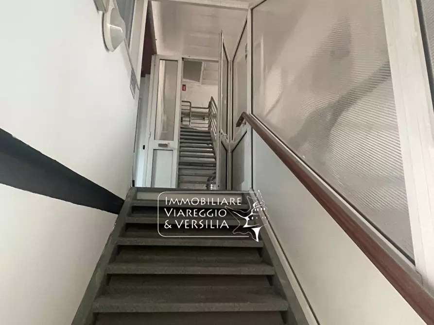 Immagine 28 di Magazzino in vendita  a Camaiore