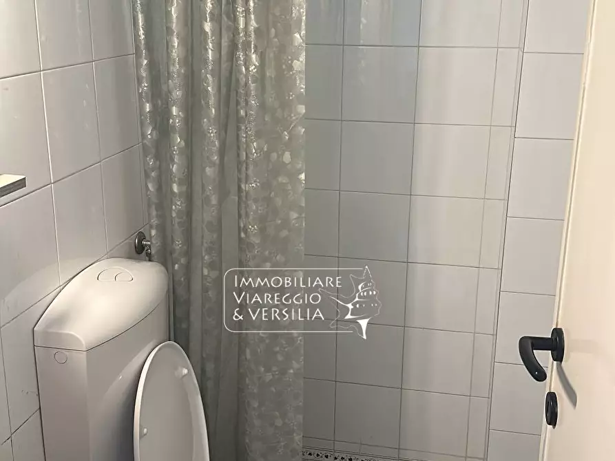 Immagine 19 di Casa indipendente in affitto  in via Battisti 180 a Viareggio