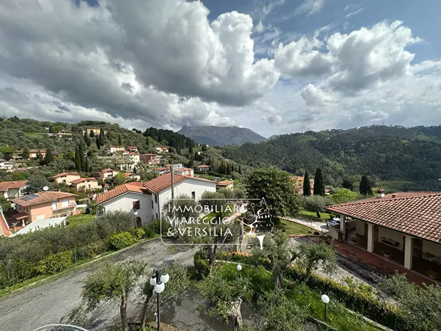 Immagine 7 di Albergo/B&B/Residence in vendita  in via delle Sezioni a Massarosa
