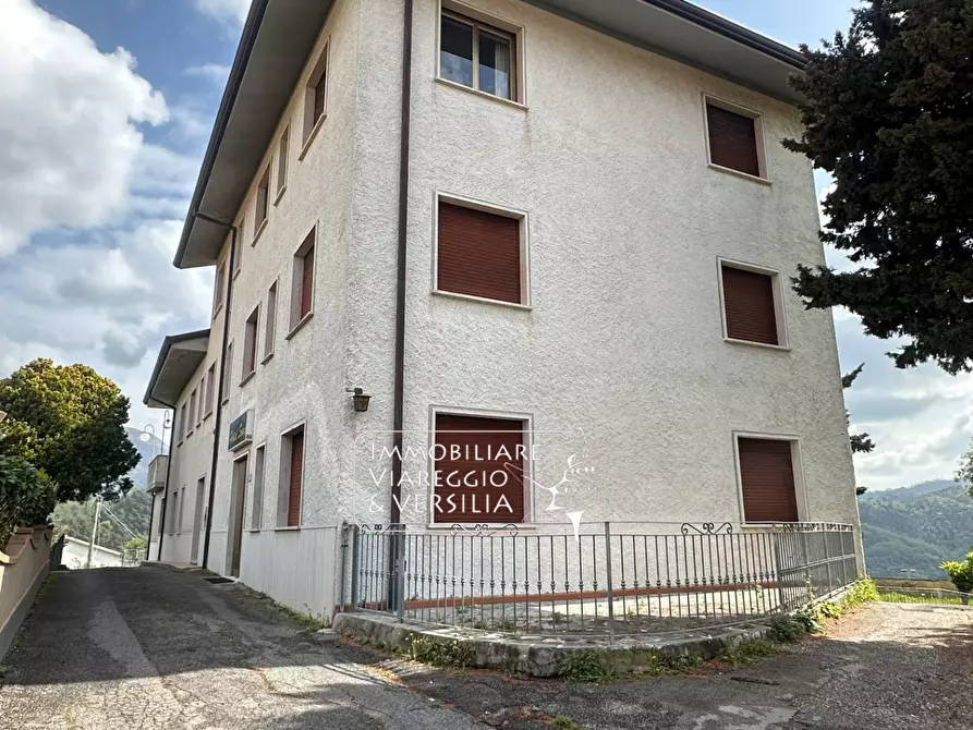 Immagine 8 di Albergo/B&B/Residence in vendita  in via delle Sezioni a Massarosa