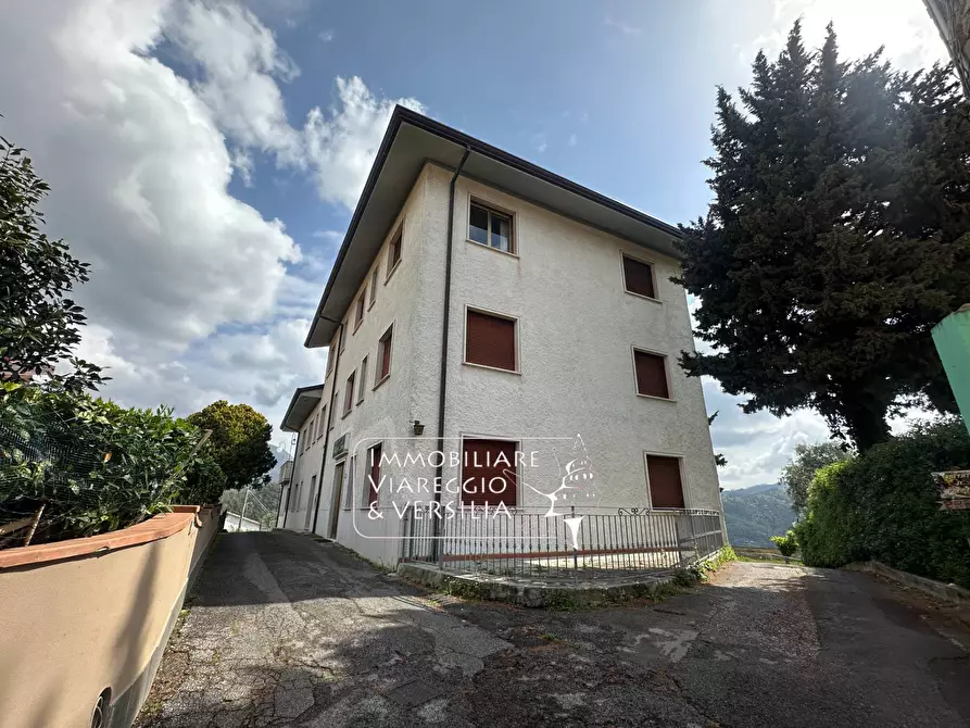 Immagine 1 di Albergo/B&B/Residence in vendita  in via delle Sezioni a Massarosa