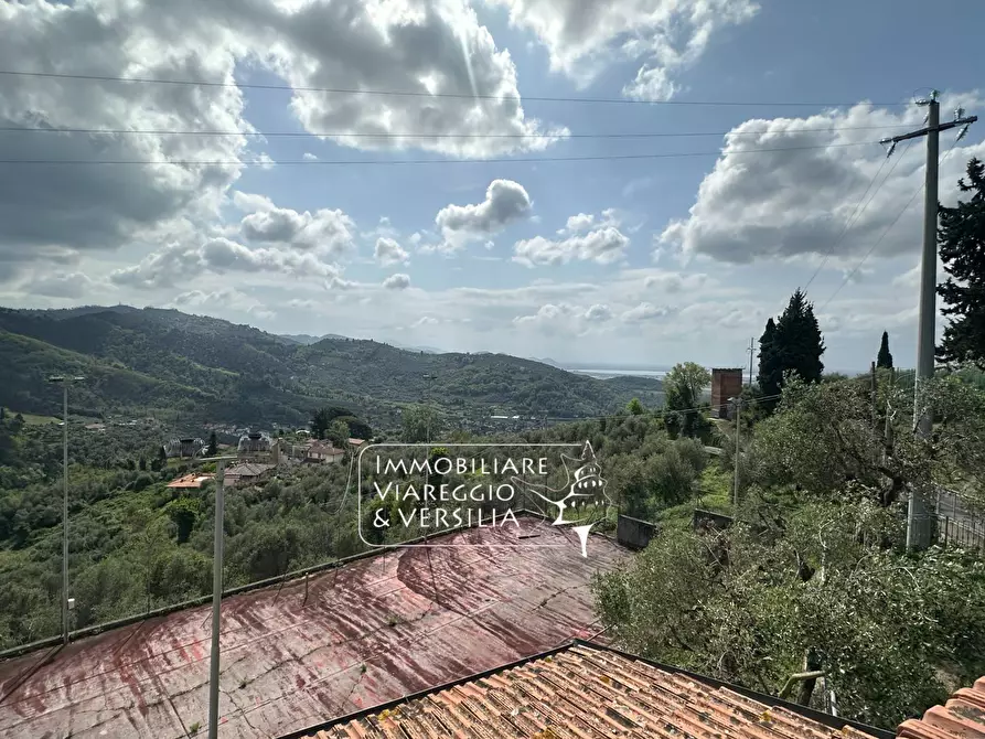 Immagine 2 di Albergo/B&B/Residence in vendita  in via delle Sezioni a Massarosa