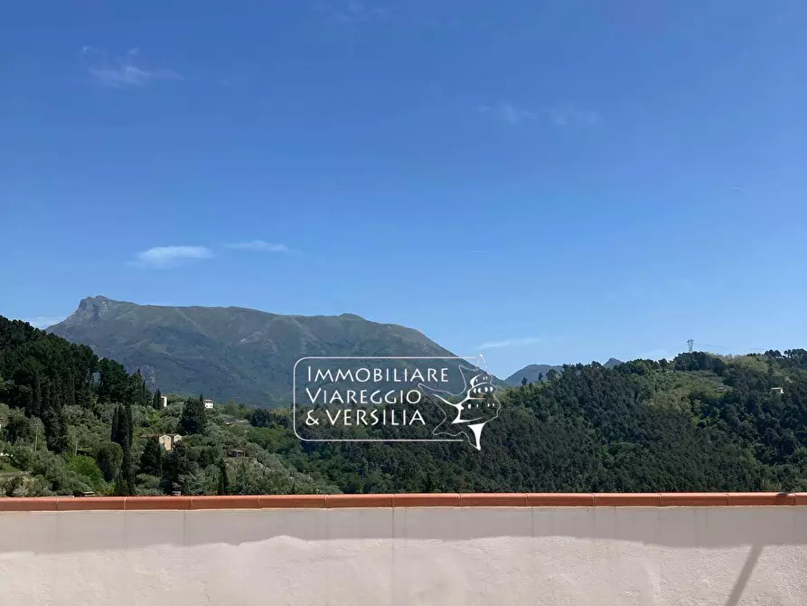 Immagine 14 di Albergo/B&B/Residence in vendita  in via delle Sezioni a Massarosa