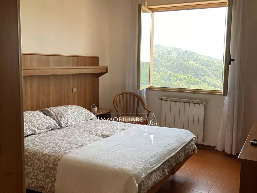 Immagine 21 di Albergo/B&B/Residence in vendita  in via delle Sezioni a Massarosa