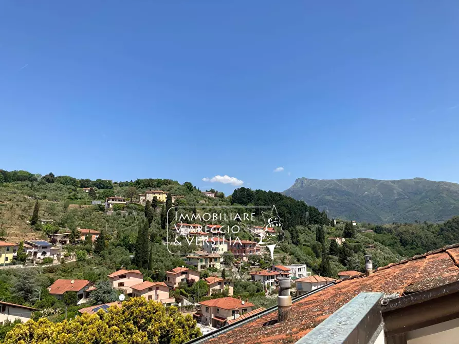 Immagine 27 di Albergo/B&B/Residence in vendita  in via delle Sezioni a Massarosa