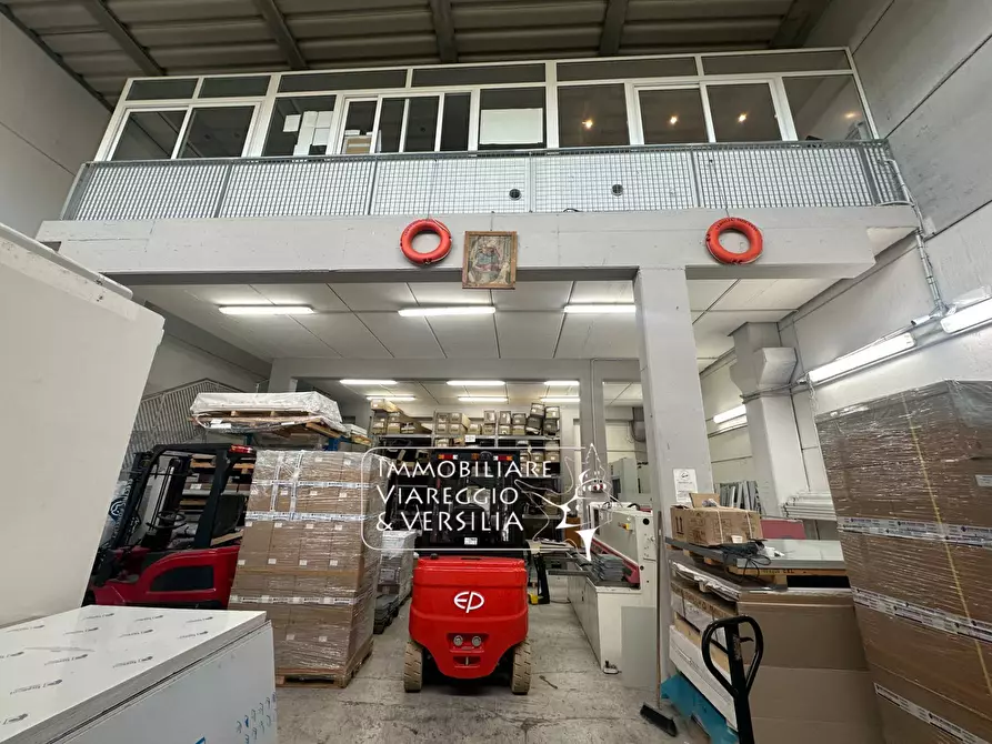 Immagine 2 di Magazzino in vendita  in via Scirocco a Viareggio
