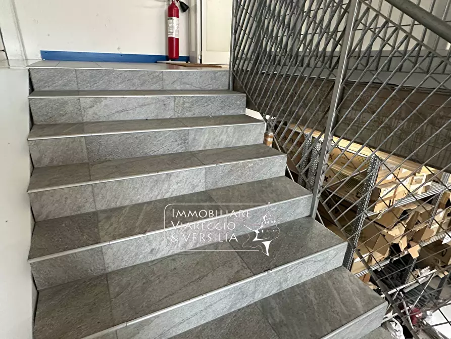 Immagine 11 di Magazzino in vendita  in via Scirocco a Viareggio
