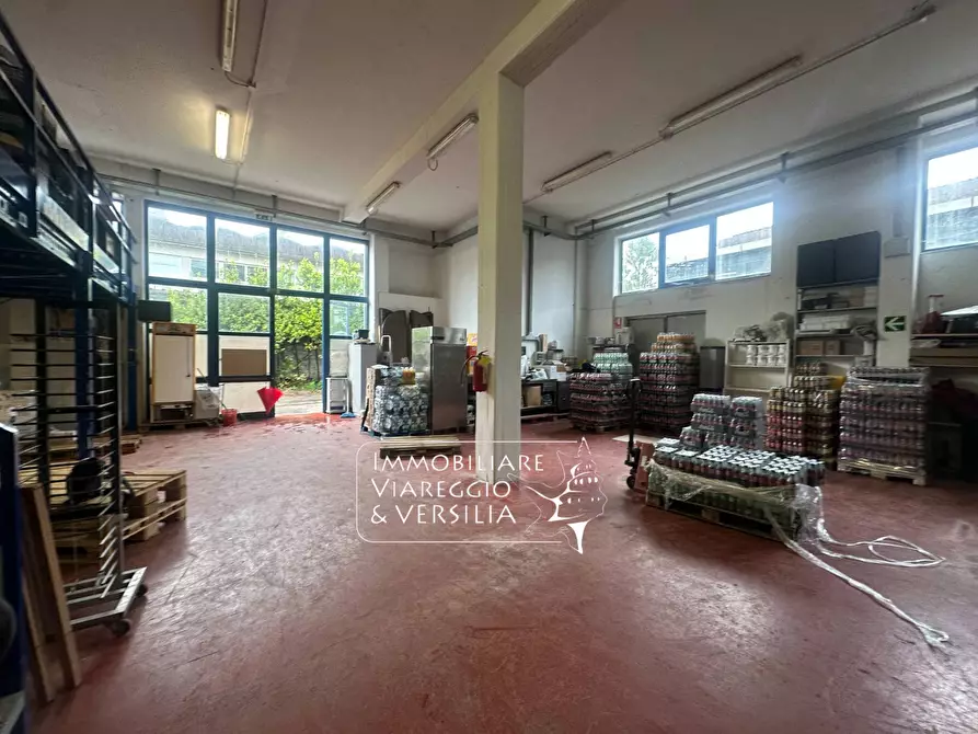 Immagine 4 di Magazzino in vendita  in via dei Calzolai 100 a Camaiore