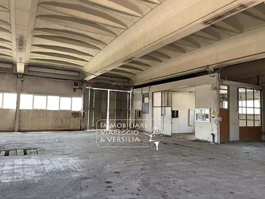 Immagine 1 di Magazzino in vendita  a Viareggio