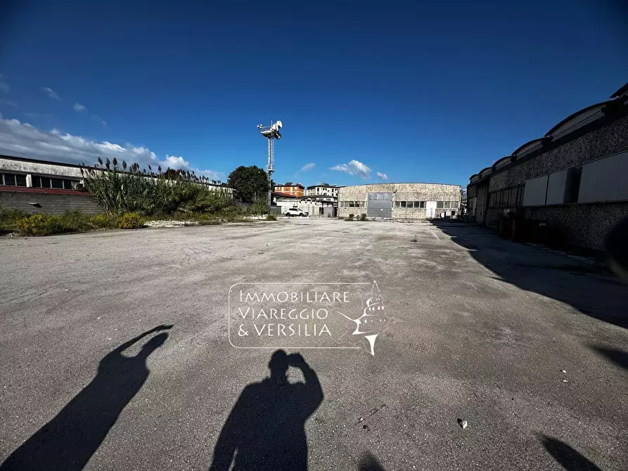 Immagine 3 di Magazzino in vendita  a Viareggio