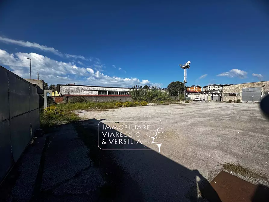 Immagine 2 di Magazzino in vendita  a Viareggio