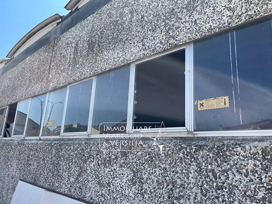 Immagine 6 di Magazzino in vendita  a Viareggio