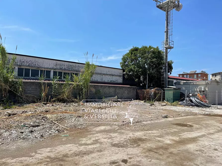 Immagine 8 di Magazzino in vendita  a Viareggio