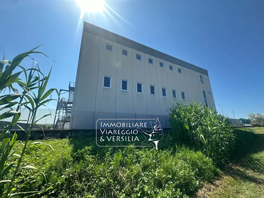 Immagine 3 di Magazzino in vendita  in via dei Carpentieri 5 a Camaiore