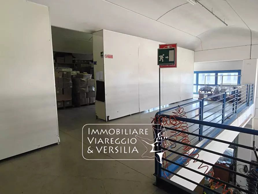 Immagine 10 di Magazzino in vendita  in via Libeccio 100 a Viareggio