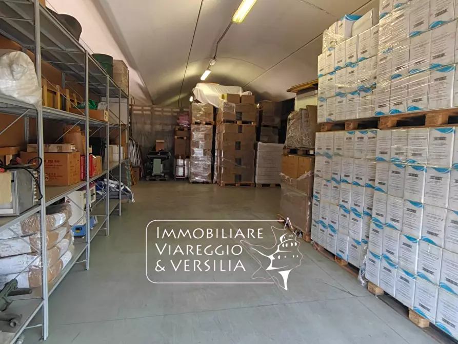 Immagine 12 di Magazzino in vendita  in via Libeccio 100 a Viareggio