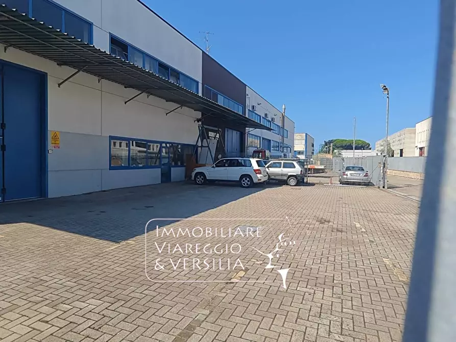 Immagine 2 di Magazzino in vendita  in via Libeccio 100 a Viareggio