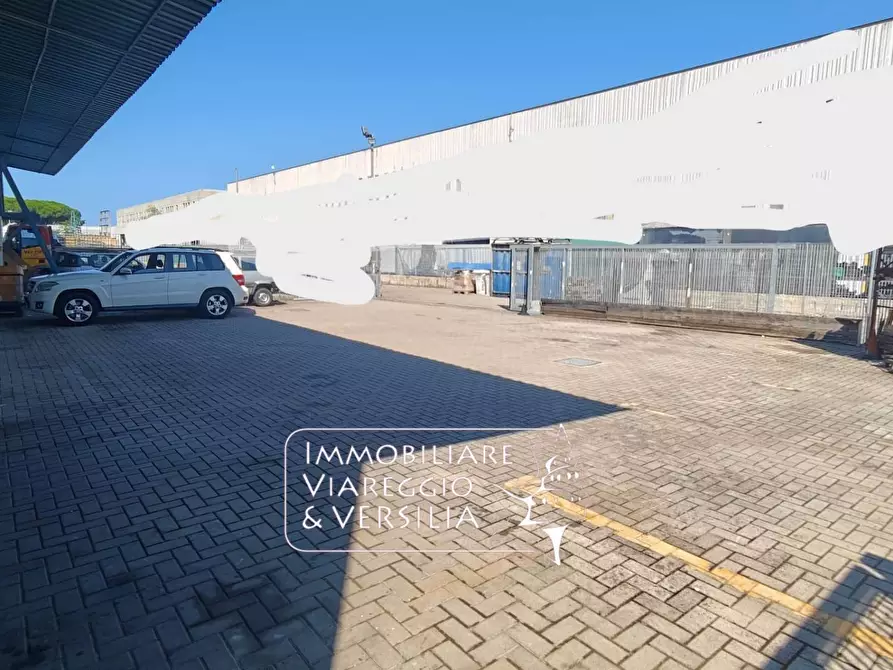 Immagine 3 di Magazzino in vendita  in via Libeccio 100 a Viareggio
