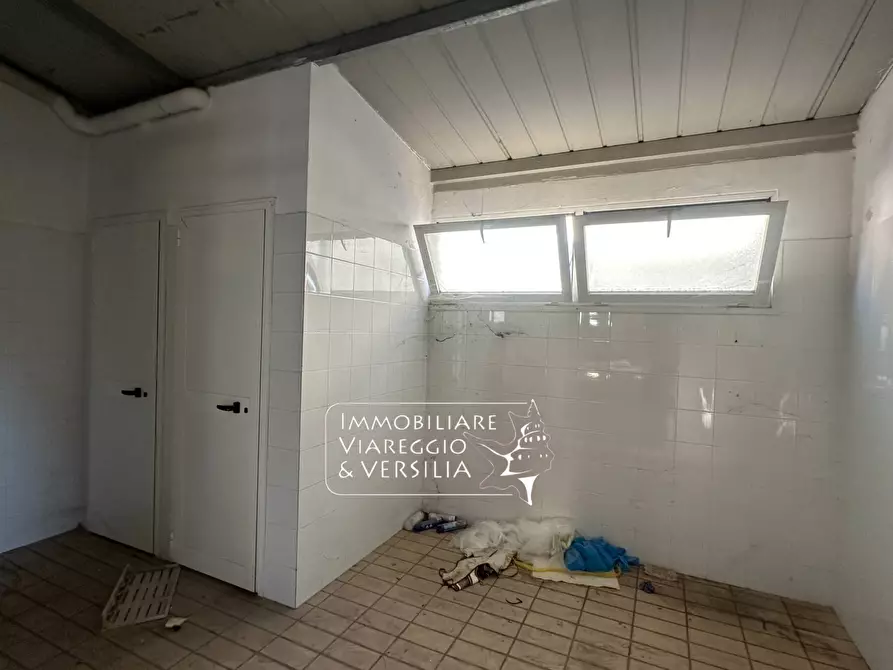 Immagine 4 di Capannone industriale in vendita  in via dei Peecchi 100 a Viareggio