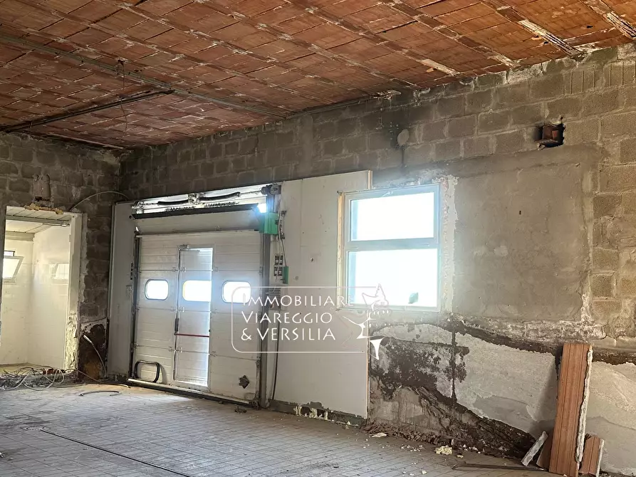 Immagine 7 di Capannone industriale in vendita  in via dei Peecchi 100 a Viareggio