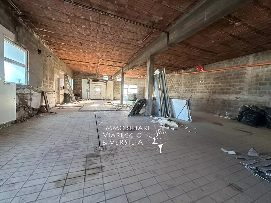 Immagine 9 di Capannone industriale in vendita  in via dei Peecchi 100 a Viareggio