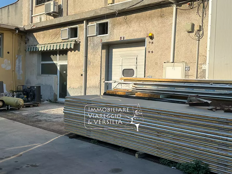 Immagine 10 di Capannone industriale in vendita  in via dei Peecchi 100 a Viareggio