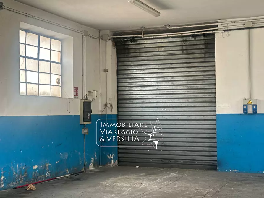 Immagine 4 di Magazzino in affitto  in via Cenami a Massarosa