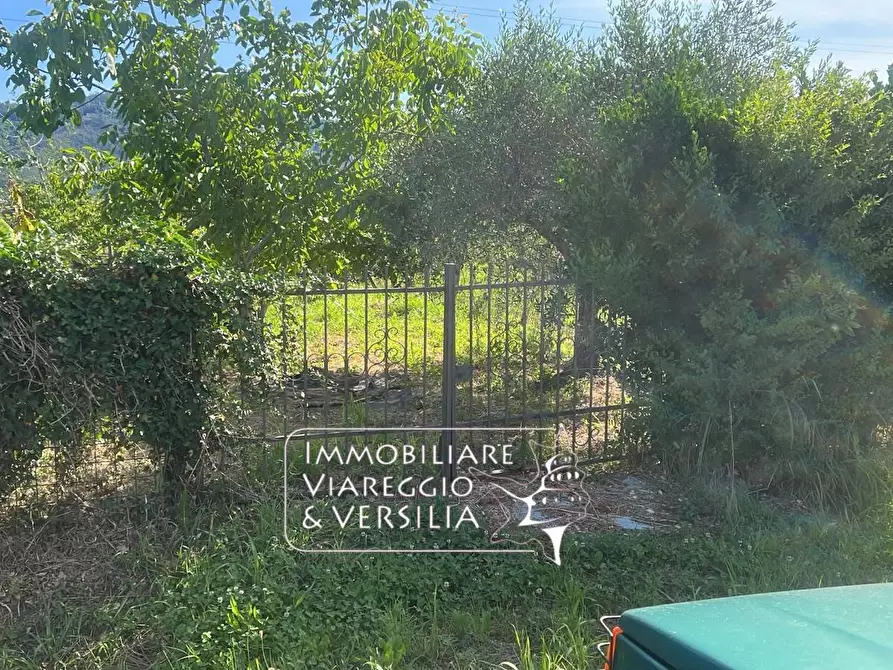 Immagine 8 di Terreno agricolo in vendita  in via Argine Padre Pietro a Massarosa